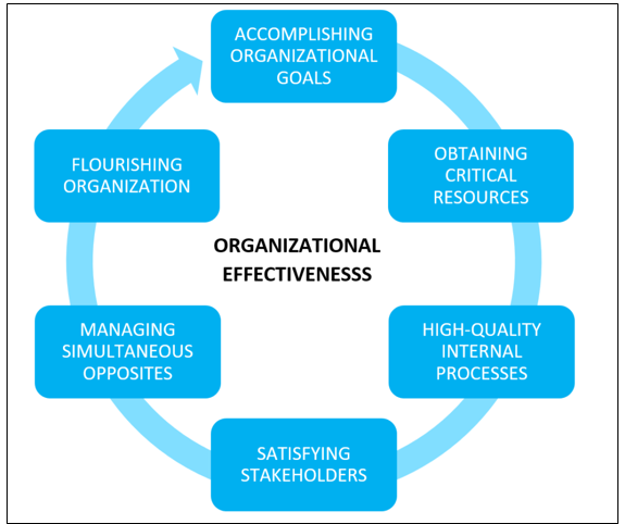 organizational-effectiveness-a-guide-to-assessing-organizational